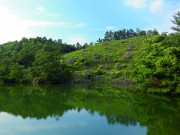 ため池(国東市松ヶ迫池)