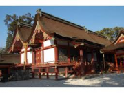 国宝 宇佐八幡宮本殿(宇佐市)