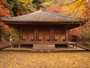 国宝 富貴寺大堂(豊後高田市)