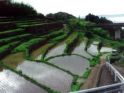 湧水の恵み～長野の棚田（日出町）