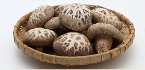 원목 건표고버섯