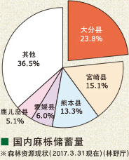 国内麻栎储蓄量