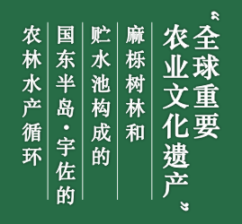 全球重要农业文化遗产 - 麻栎树林和贮水池构成的国东半岛・宇佐的农林水产循环