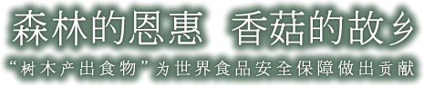 森林的恩惠  香菇的故乡“树木产出食物”为世界食品安全保障做出贡献