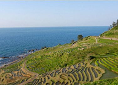 能登の里山里海