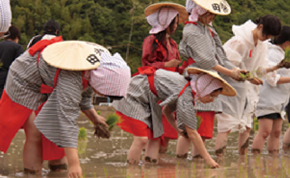 Otaue Festival