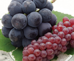 Grapes