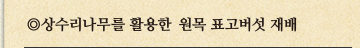 상수리나무를 활용한 원목 표고버섯 재배