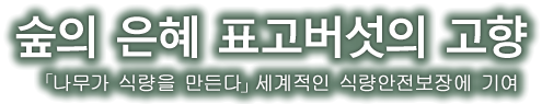 숲의 은혜 표고버섯의 고향 「나무가 식량을 만든다」세계적인 식량안전보장에 기여