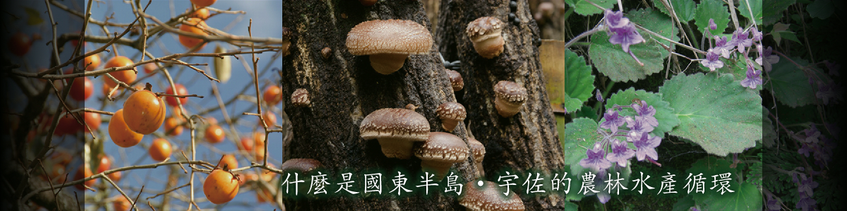 什麼是國東半島・宇佐的農林水產循環