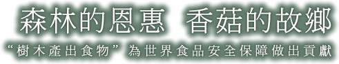 森林的恩惠  香菇的故鄉“樹木產出食物”為世界食品安全保障做出貢獻