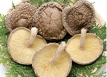 香菇（こうこ）