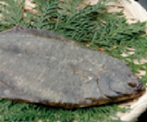 城下カレイ
