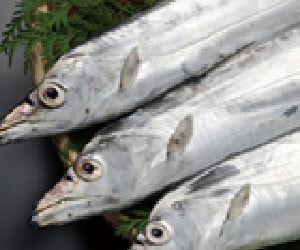 タチウオ