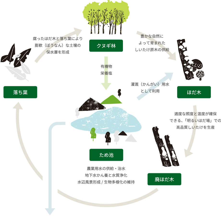 図