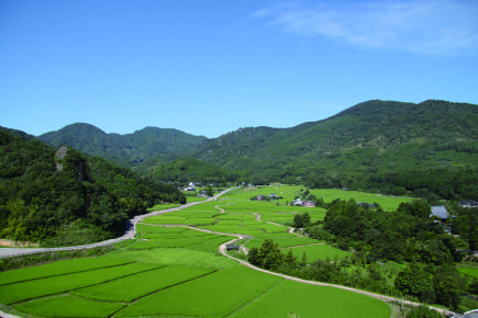 現代に生きる中世の荘園（田染荘）