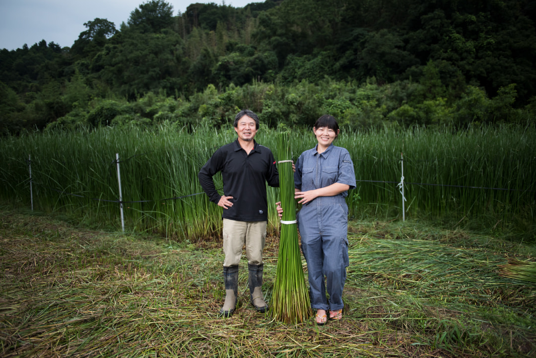 くにさき(しちとうい)七島藺がつむぐ地域の未来像